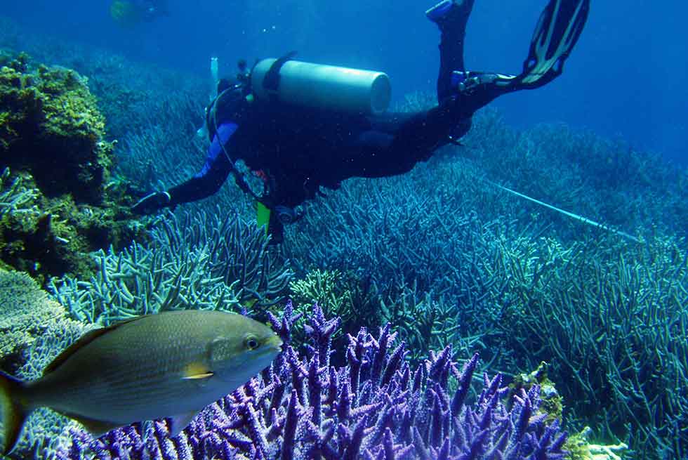 Abrolhos Islands Eco Tours Abrolhos Islands Eco Tours
