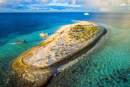 abrolhos-cruises