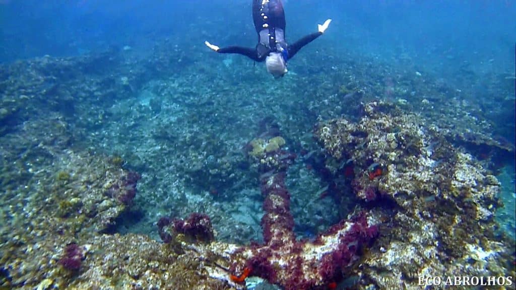 Abrolhos Islands Tour Eco Abrolhos