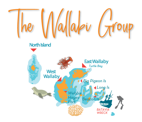 abrolhos-islands-wallabi-group