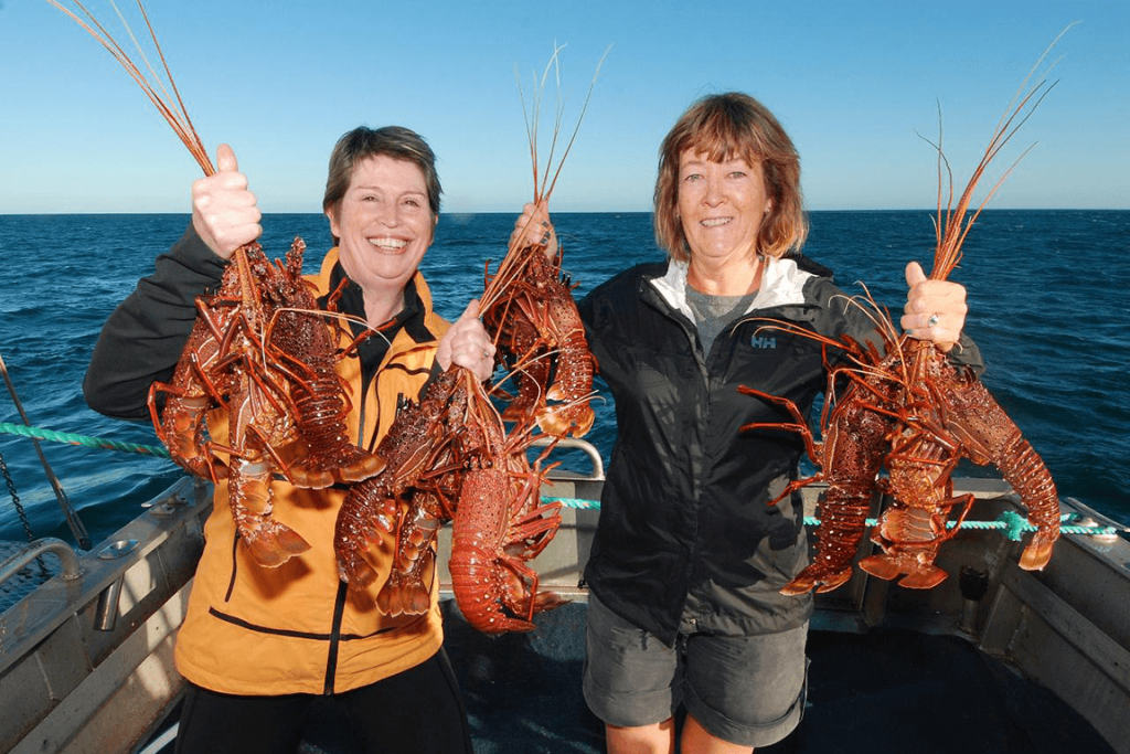 Geraldton Lobster fishing Experience Eco Abrolhos