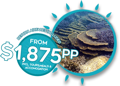 ECO-ABROLHOS-SUMMER-TOURS-BANNER-PRICE ECO-ABROLHOS-SUMMER-TOURS-BANNER-PRICE